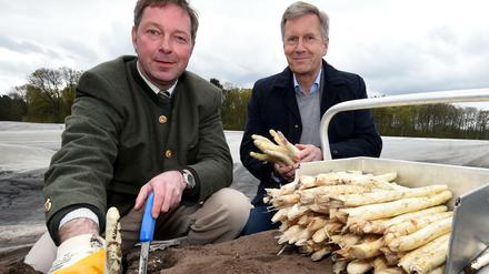 Bauer Jörg Heuer (l) und der ehemalige Bundespräsident Christian Wulff stechen am 28.04.2016 in Fuhrberg Spargel. 