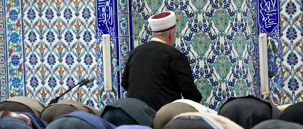 Unionsfraktionschef Volker Kauder (CDU) will eine staatliche Kontrolle von Moscheen.