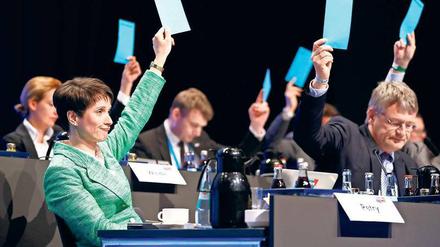 Grüne Vorsitzende? Frauke Petry (l.) trug beim AfD-Parteitag äußerlich zwar die Farben einer anderen politischen Richtung, inhaltlich blieb sie aber ihrer Partei mehr als treu.