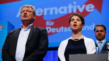 Die AfD-Vorsitzende Frauke Petry und AfD-Bundessprecher Jörg Meuthen singen am Ende des Parteitages in Stuttgart. 
