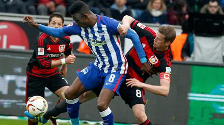 Der Leverkusener Lars Bender (r.) luchst Herthas Salomon Kalou den Ball ab.