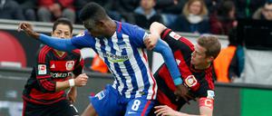 Der Leverkusener Lars Bender (r.) luchst Herthas Salomon Kalou den Ball ab. 
