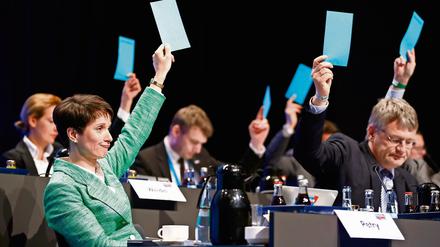 Die AfD-Vorsitzende Frauke Petry beim Parteitag in Stuttgart.
