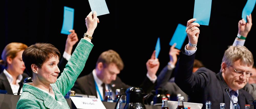 Die AfD-Vorsitzende Frauke Petry beim Parteitag in Stuttgart.