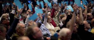 AfD-Delegierte stimmen beim Bundesparteitag in Stuttgart ab. 