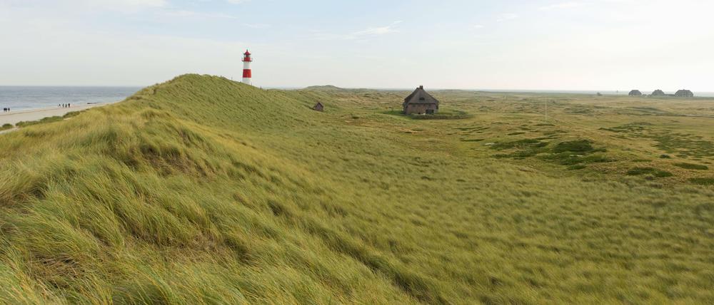 Ganz oben im Norden: Sylt.