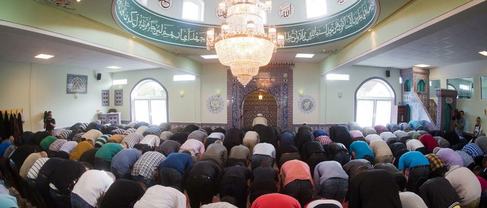Nur wenige Deutsche waren schon einmal in einer Moschee.
