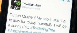 News überall: Selbst Bäume twittern inzwischen ihr Befinden. 