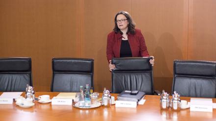 Geschafft. Andrea Nahles hat den Mindestlohn eingeführt, die Tarifeinheit geregelt und nun ein Gesetz zur Regulierung von Leiharbeit und Werkverträgen auf den Weg gebracht. 