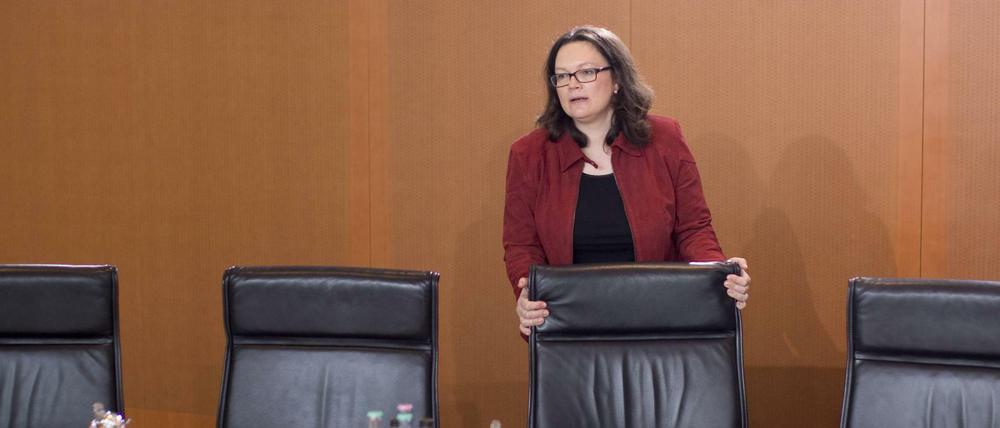 Geschafft. Andrea Nahles hat den Mindestlohn eingeführt, die Tarifeinheit geregelt und nun ein Gesetz zur Regulierung von Leiharbeit und Werkverträgen auf den Weg gebracht. 