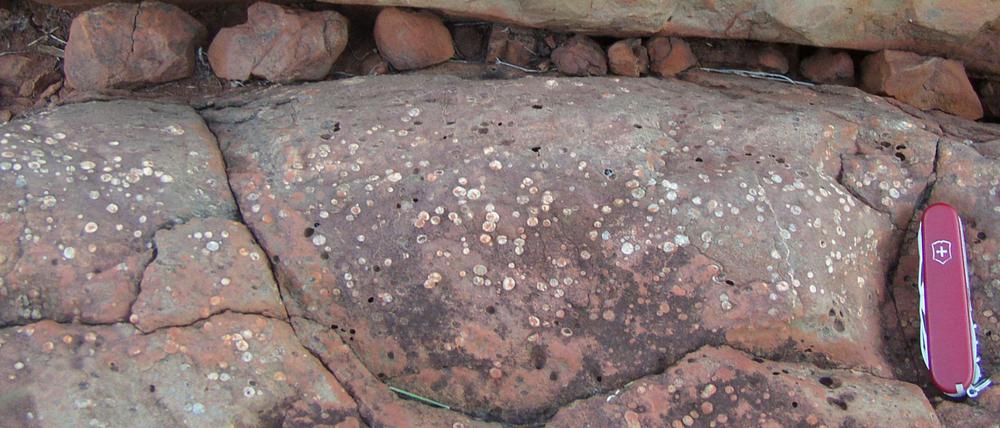 Versteinerte Erdgeschichte. In erstarrten Lavaströmen im Westen Australiens befinden sich eingeschlossene Gasblasen, die Aufschluss über die Erdatmosphäre vor fast drei Milliarden Jahren geben.
