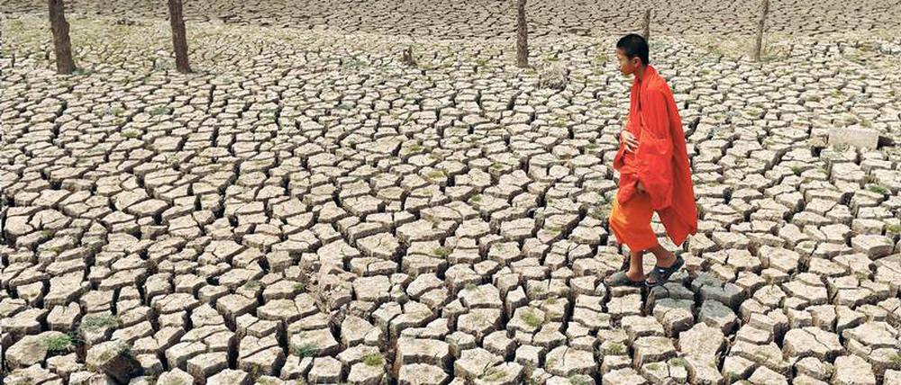 Knochentrocken. In Südostasien, hier in Thailand, den pazifischen Inseln, Ost- und Südafrika aber auch in er Karibik hat El Niño Dürre gebracht.