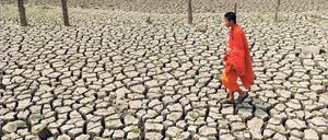 Knochentrocken. In Südostasien, hier in Thailand, den pazifischen Inseln, Ost- und Südafrika aber auch in er Karibik hat El Niño Dürre gebracht. 