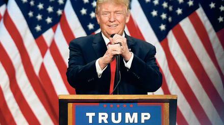 Es mangelt an Erfahrung und Organisationskraft. Deshalb will Donald Trump die Möglichkeiten der Republikanischen Partei nutzen. Foto: Jim Urquhart/Reuters