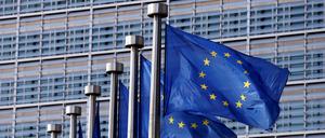 Die Europäische Union will jetzt gegen Steuervermeidung vorgehen.