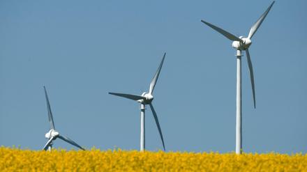 Windräder stehen in einem blühenden Rapsfeld in der Nähe von Wolgast.