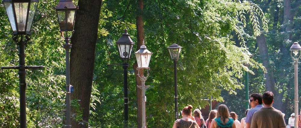 Das Gaslaternen-Freilichtmuseum zwischen Schleuseninsel und der Straße des 17.Juni in Berlin-Tiergarten.