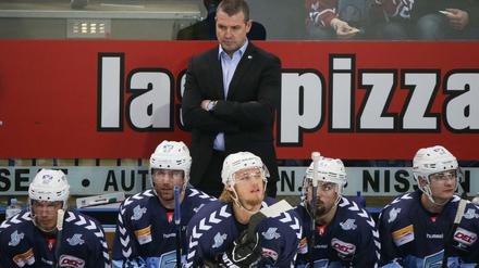 Trainer Serge Aubin von den Hamburg Freezers.