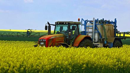 Die aktuelle Zulassung für den Unkrautvernichter Glyphosat gilt noch bis zum 30. Juni.
