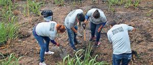 Mitglieder der ersten nationalen Freiwilligen-Brigade bei ihrer Suche nach Verschwundenen.
