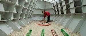 Das Taubenhaus am Potsdamer Platz. 