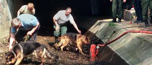 Polizeibeamte suchen am 31. März 1998 mit Hunden im Liederbach in Frankfurt-Höchst nach Spuren des ermordeten 13-jährigen Tristan.
