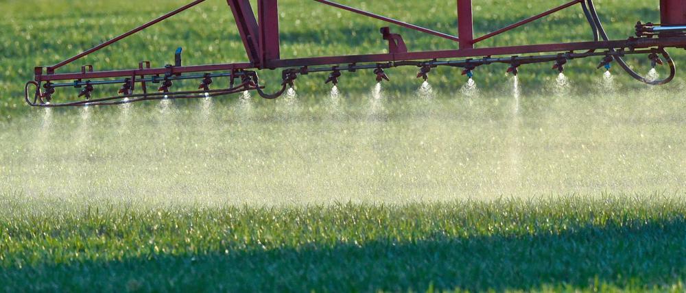 Bald ausgesprüht? Glyphosat wird seit rund 40 Jahren gegen Unkraut eingesetzt.