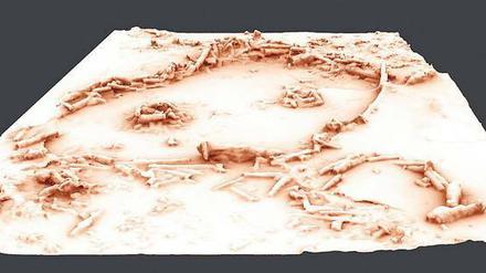 Rätselhafte Kreise. 3-D-Rekonstruktion der Steinstrukturen. 