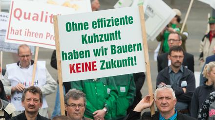 Bauern halten am 26.05.2016 während einer Demonstration gegen den drastischen Preisverfall bei Milch und Fleisch vor dem Landtag in Dresden (Sachsen) ein Schild mit der Aufschrift "Ohne effiziente Kuhzunft haben wir Bauern keine Zukunf".