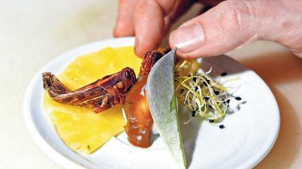 Grille für Gourmets. Noch sind die Deutschen zurückhaltend, wenn es um den Verzehr von Insekten geht. 