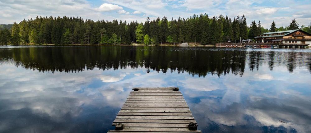 In Ruhe die Natur genießen. Ab und zu ins Wasser springen und sich erfrischen. Ein eigener See macht's möglich, ist aber teuer.