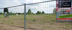 Brachland. Hier standen vor Kurzem noch viele Kleingärten. Daran erinnern nur noch Protestplakate.