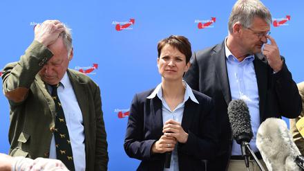 Einiges schief gelaufen. Alexander Gauland, Frauke Petry.