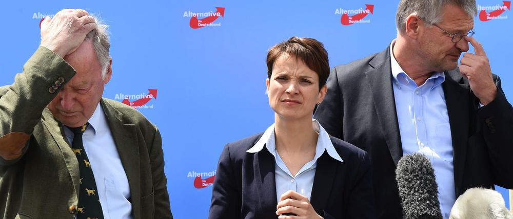 Einiges schief gelaufen. Alexander Gauland, Frauke Petry.