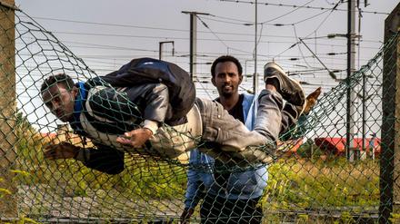 Eritreer verlassen ihre Heimat in Scharen und gehen durch die Hölle der Banditenbanden, die sie im Sudan oder auf dem Sinai entführen, foltern und oft auch töten. Wer das überlebt und auch das Mittelmeer überstanden hat, standet dann an Orten wie dem Dschungel von Calais wie diese beiden jungen Männer.