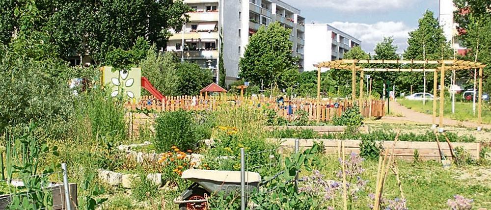 Der Bürgergarten Helle Oase ist eines der vielen Projekte, die Hellersdorf noch lebenswerter gemacht haben.