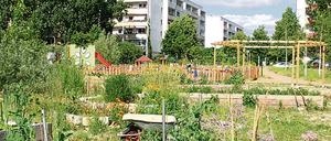 Der Bürgergarten Helle Oase ist eines der vielen Projekte, die Hellersdorf noch lebenswerter gemacht haben.