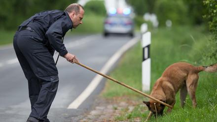 Leichenspürhund Sunny und Hundeführer Ulrich Hitzemann suchen am Montag an einer Straße in Höxter-Bosseborn (Nordrhein-Westfalen) nach Spuren der ermordeten Anika F.. Ein Paar aus der Stadt in Ostwestfalen soll mehrere Frauen auf seinem Gehöft grausam misshandelt haben - mindestens zwei Opfer starben.