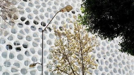 Fassade "frisst" Smog: Das Berliner Architektenbüro Elegant Embellishments hat für ein Krankenhaus in Mexiko-City eine intelligente Fassade gebaut.