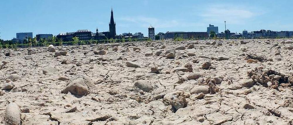 Ausgetrocknet. Das Ufer des Rheins bei Düsseldorf, aufgenommen im Sommer 2010. 