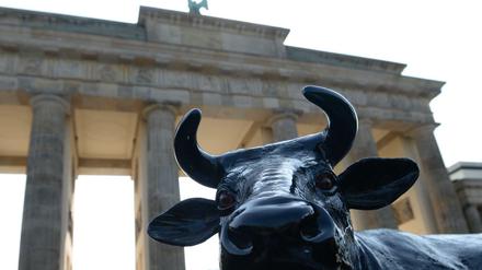 Aktivisten des Bundesverbands Deutscher Milchviehhalter demonstrieren mit einer Kuhfigur vor dem Brandenburger Tor für fairere Milchpreise. 