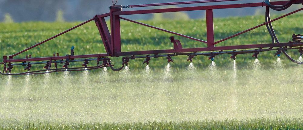 Ein Landwirt fährt mit einer Dünger- und Pestizidspritze über ein Feld mit jungem Getreide in Sieversdorf im Landkreis Oder-Spree. Die Bauern wollen am umstrittenen Glyphosat festhalten.
