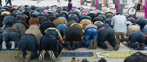 Muslime machen dem Hochschullehrer schwer zu schaffen.