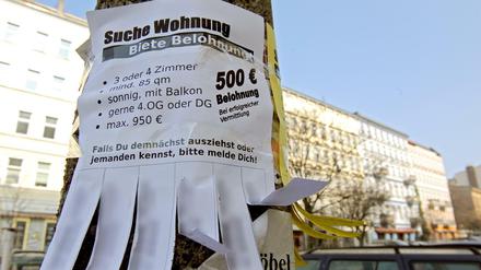 Kannste lange suchen - Wohnungen in Berlin gibt es kaum noch und wenn, dann nur für teuer Geld.