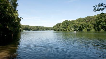 Ob sich der See erinnert? fragt sich unsere Autorin. Etwa an die vielen älteren Anwohner, die am liebsten frühmorgens zum Schwimmen ans Wasser gehen 