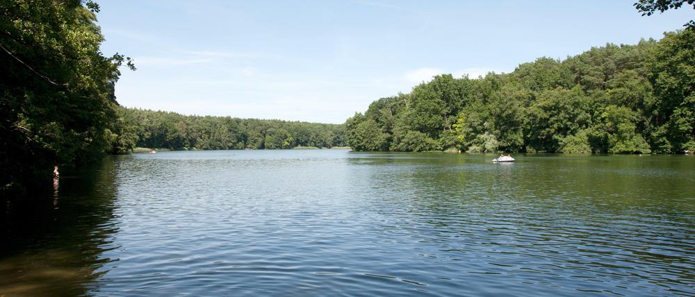 Ob sich der See erinnert? fragt sich unsere Autorin. Etwa an die vielen älteren Anwohner, die am liebsten frühmorgens zum Schwimmen ans Wasser gehen