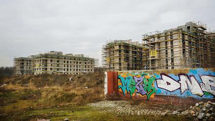 Leerstand im Park am Gleisdreieck - die vier ersten von 14 Häusern stehen im Rohbau.