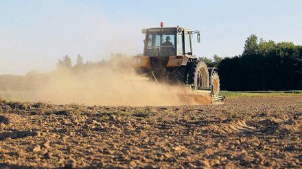 Mechanische Unkrautbekämpfung. Grubbern und Pflügen fördert die Erosion des Bodens. 