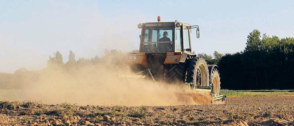 Mechanische Unkrautbekämpfung. Grubbern und Pflügen fördert die Erosion des Bodens.
