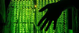 Ein Mann hält seine Hand vor einen Verteilerpunkt, in dem zahlreiche Glasfaserkabel unter anderem zur Übertragung von Hochgeschwindigkeitsinternet zusammenlaufen.